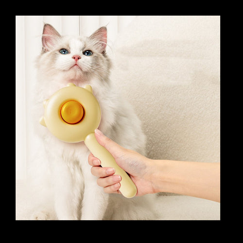 Cat Comb Massage Pet Magic Combs Hair Removal Cat And Dog Brush Pets Grooming Cleaning Supplies Scratcher